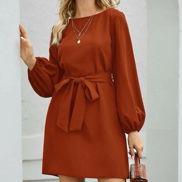 Rust pink lantern long sleeve mini dress Minimalist Work - Picture 6 of 16